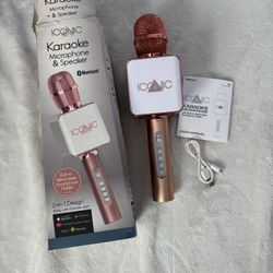 Iconic Karaoke Microphone 
