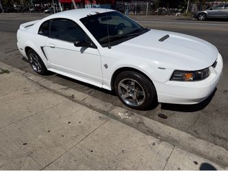 Mustang