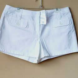 NWT Ann Taylor Woman Shorts Ladies Casual Short Pants Size  12