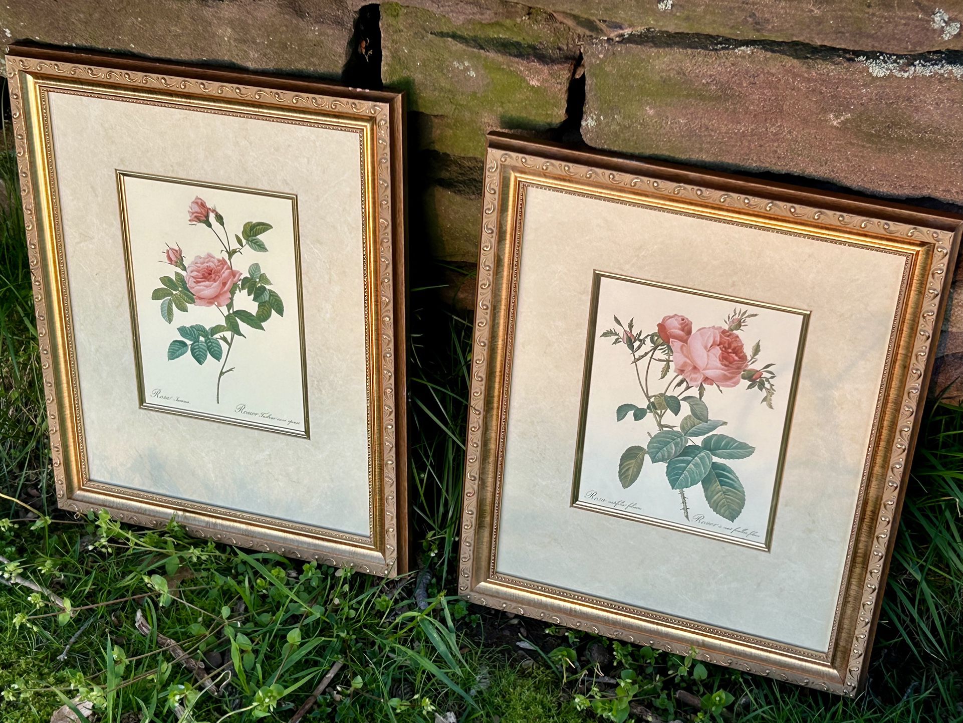 Pair Of Vintage Framed Rose Prints