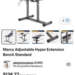 Exercise Equipment Abdominal Extension Back Bench Gym