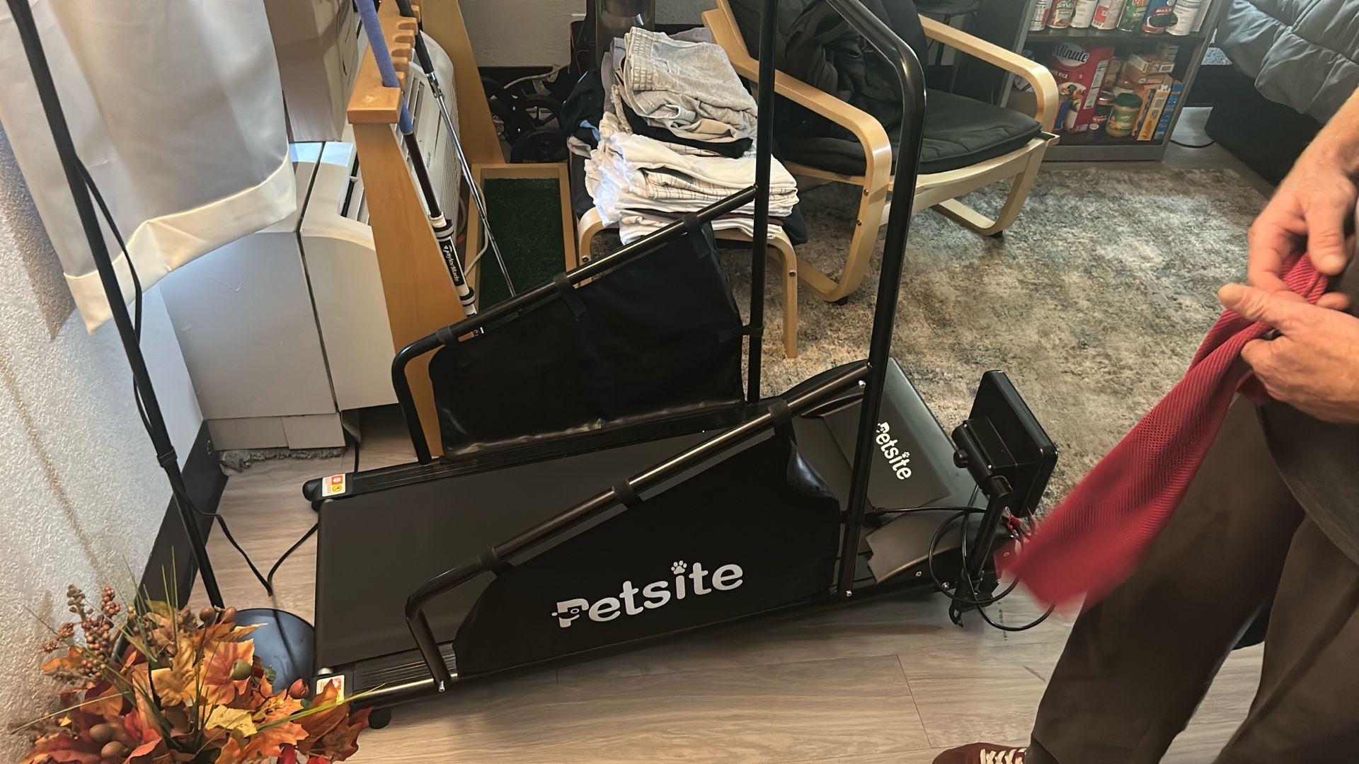 Petsite Dog Treadmill (New)