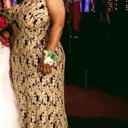 Dress- Plus Size Beautiful Gold Evening Dress