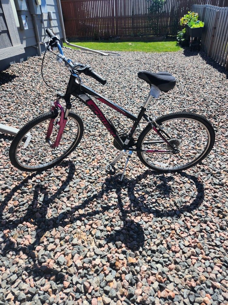 Schwinn Women's