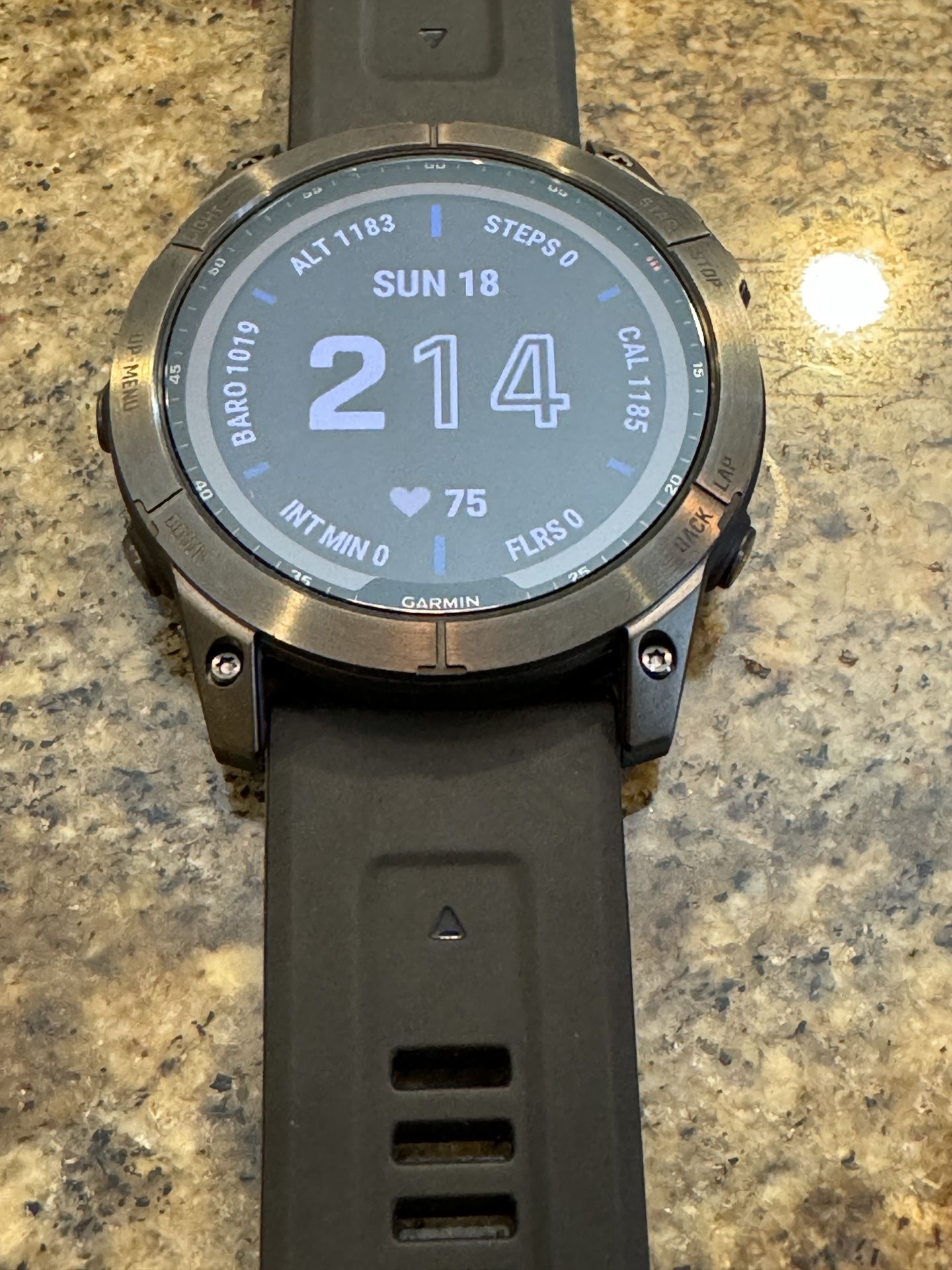 Garmin Fenix 7X Sapphire Solar