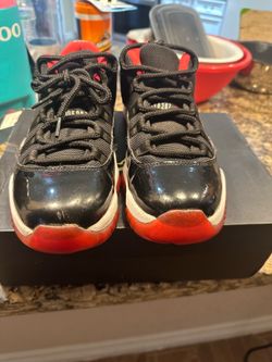 Jordan bred 11 low