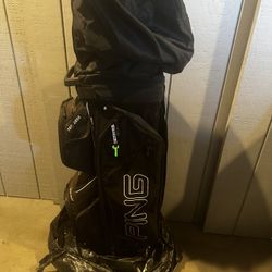 Ping • Zing Red Dot Golf Clubs