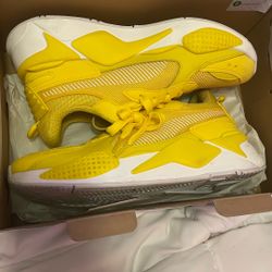Dandelion Pumas