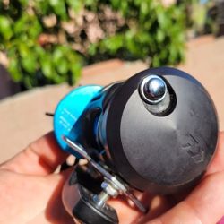 Shop daiwa saltist 20p