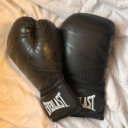 16oz Boxing Gloves