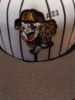 Padres Tatis Jr. Baseball Hat -Rare
