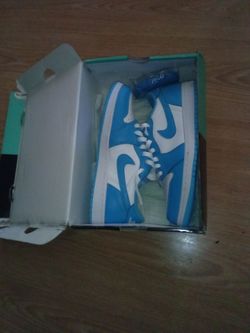 Brand new Nike dunk sb