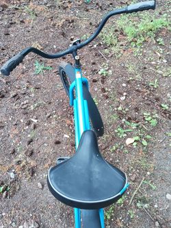 Beach cruiser style bicycle