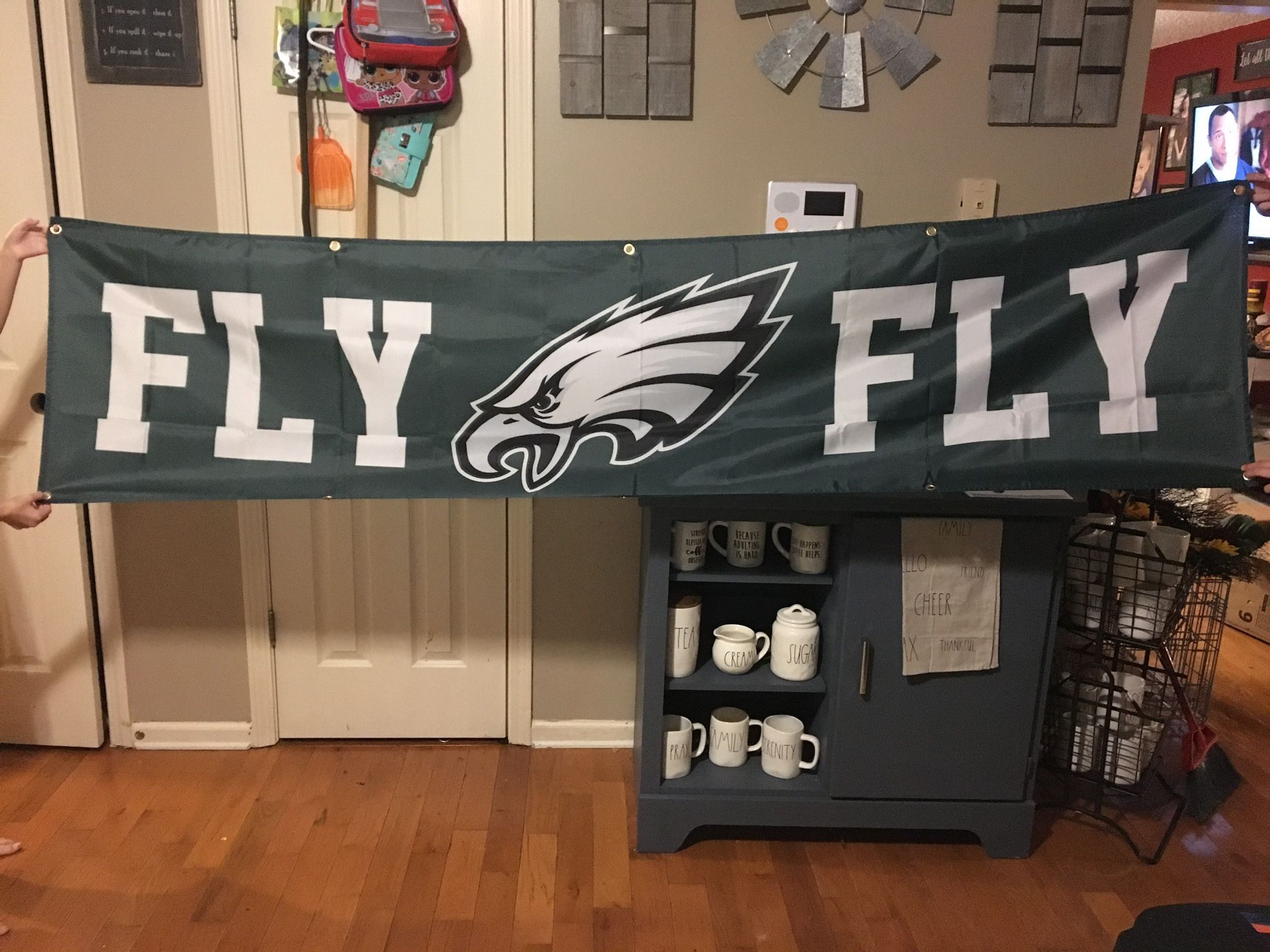 Philadelphia Eagles 8x2 Ft Banner