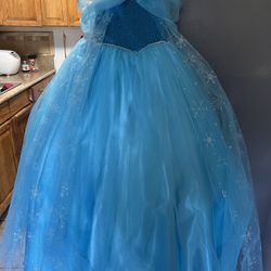 Princess Dress