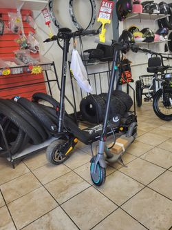 Mgs bike shop