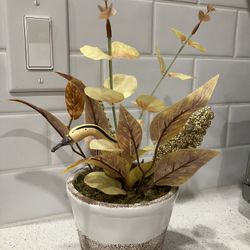 Decorative Potted Plant 