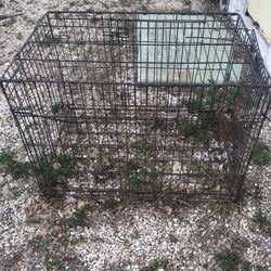 Large Dog Kennel 