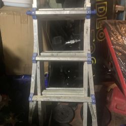 Cosco Gorilla Ladder 