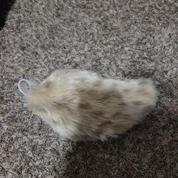 Bunny/Sabertooth Tail