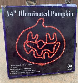 Pumpkin - Illuminated
