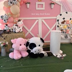 Rodeo Barnyard Birthday Decorations 