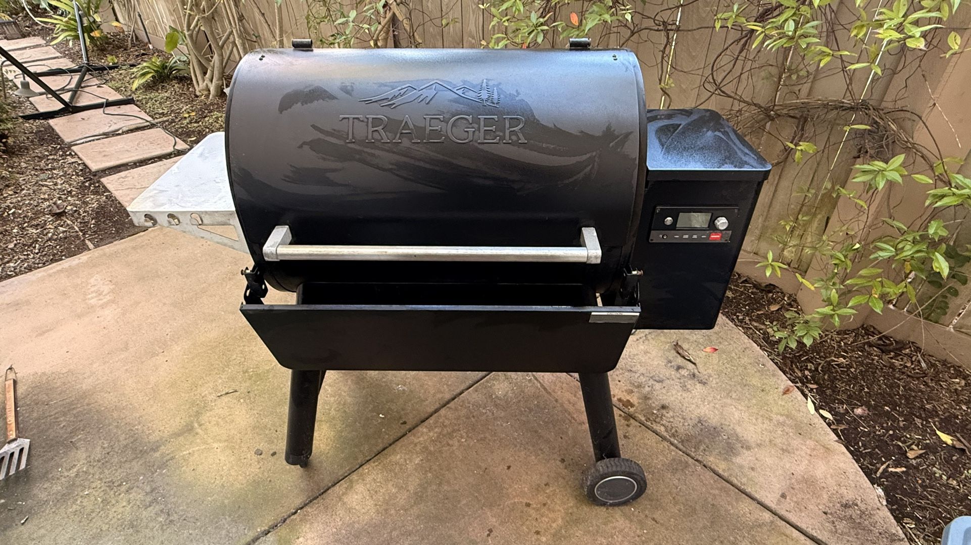 Become a Backyard Legend 🔥