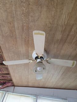 Ceiling fan