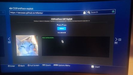 Ps4 - Firmware 11.0