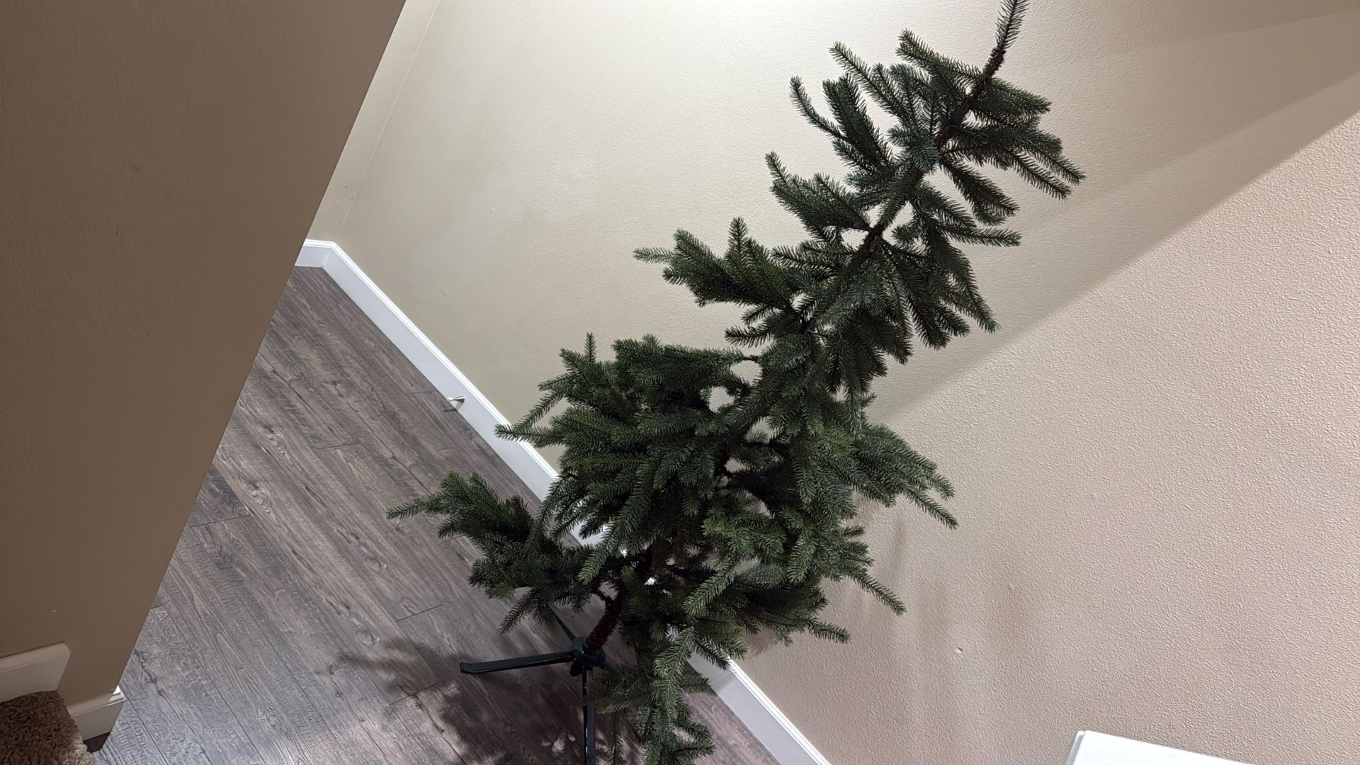 Christmas Tree 50$ Good Deal