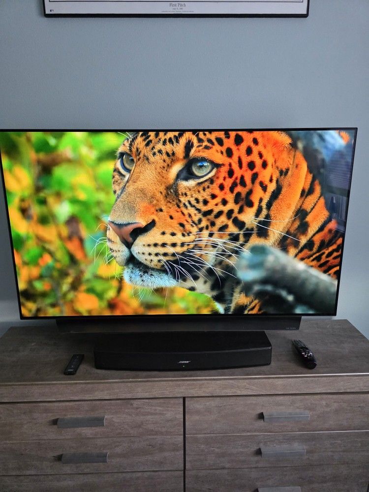 55" LG 4K OLED Smart TV (Great Condition)