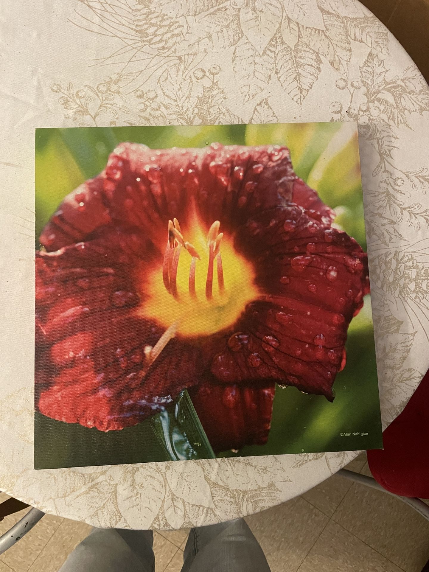 Floral Canvas Wall Art – Set of 3 (High-Quality Prints)