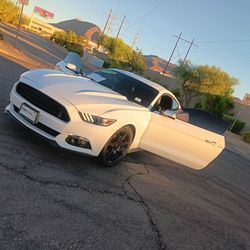 Mustang Eco-boost 2016