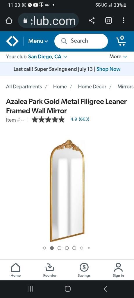 Azalea Park Filigree Vintage Full length Mirror