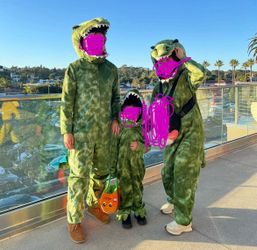 Dinosaur Halloween costume (pottery barn)
