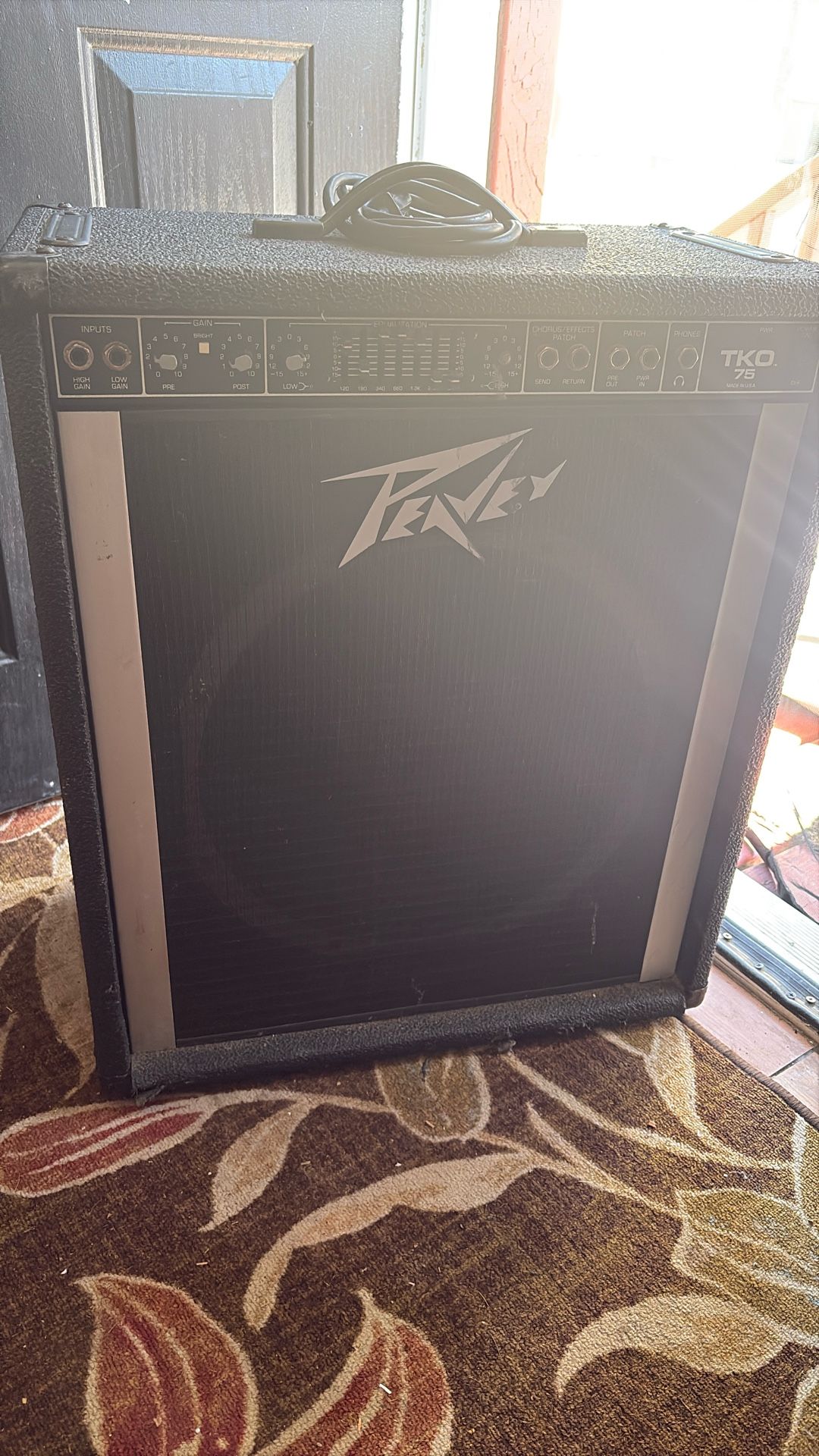 3-channel, 100-watt combo amp with a 15" speaker