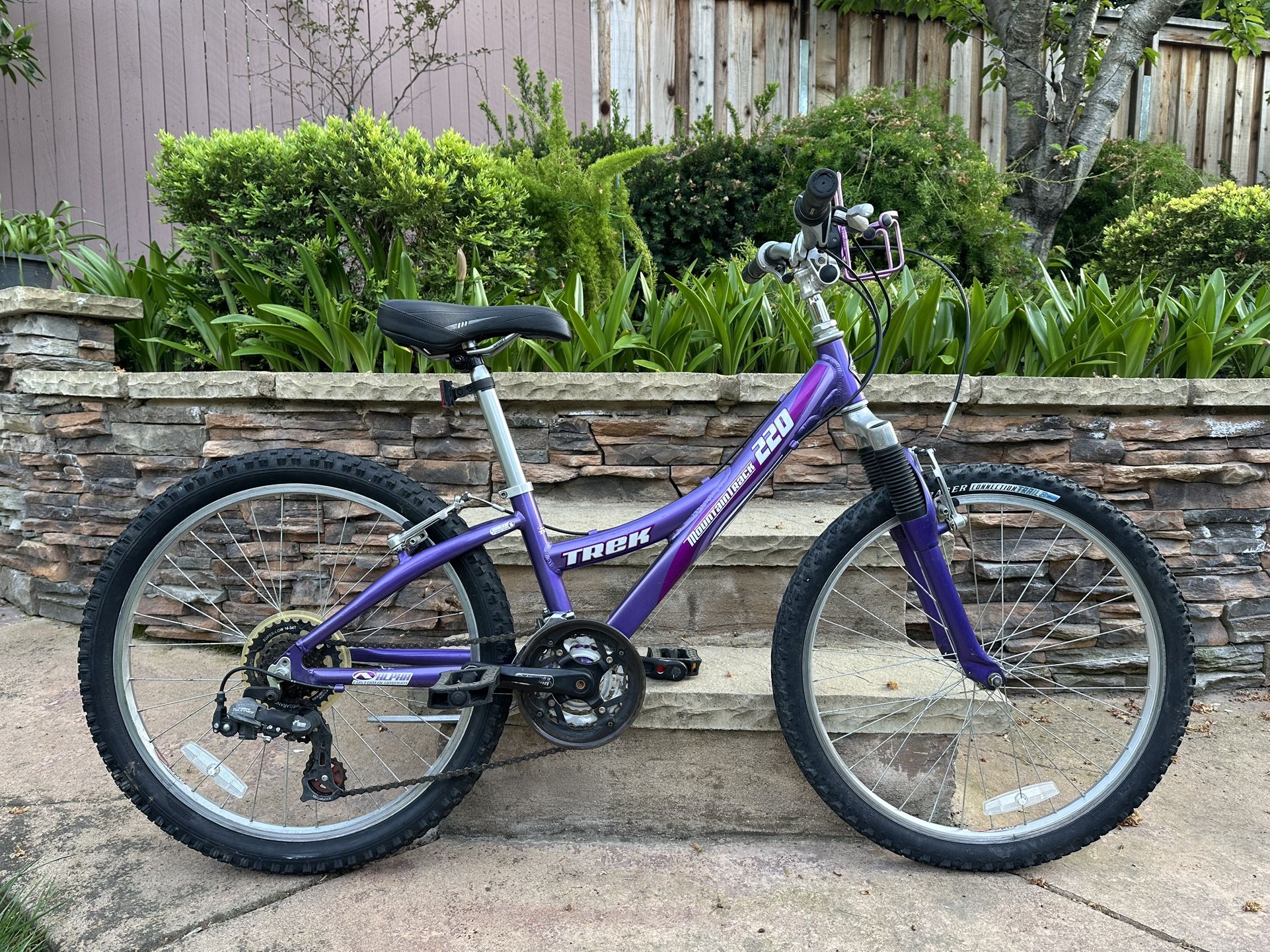 Trek MT 220  Bike