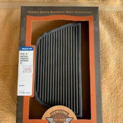 Harley-Davidson passenger footboard insert