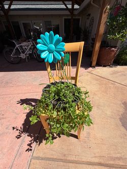Plant Holder with Plant