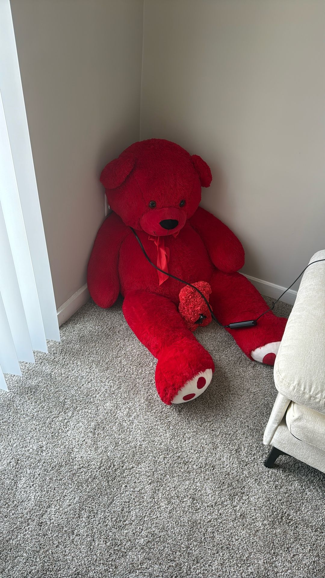 Teddy Bear For Valentines Day Or For Cuddling