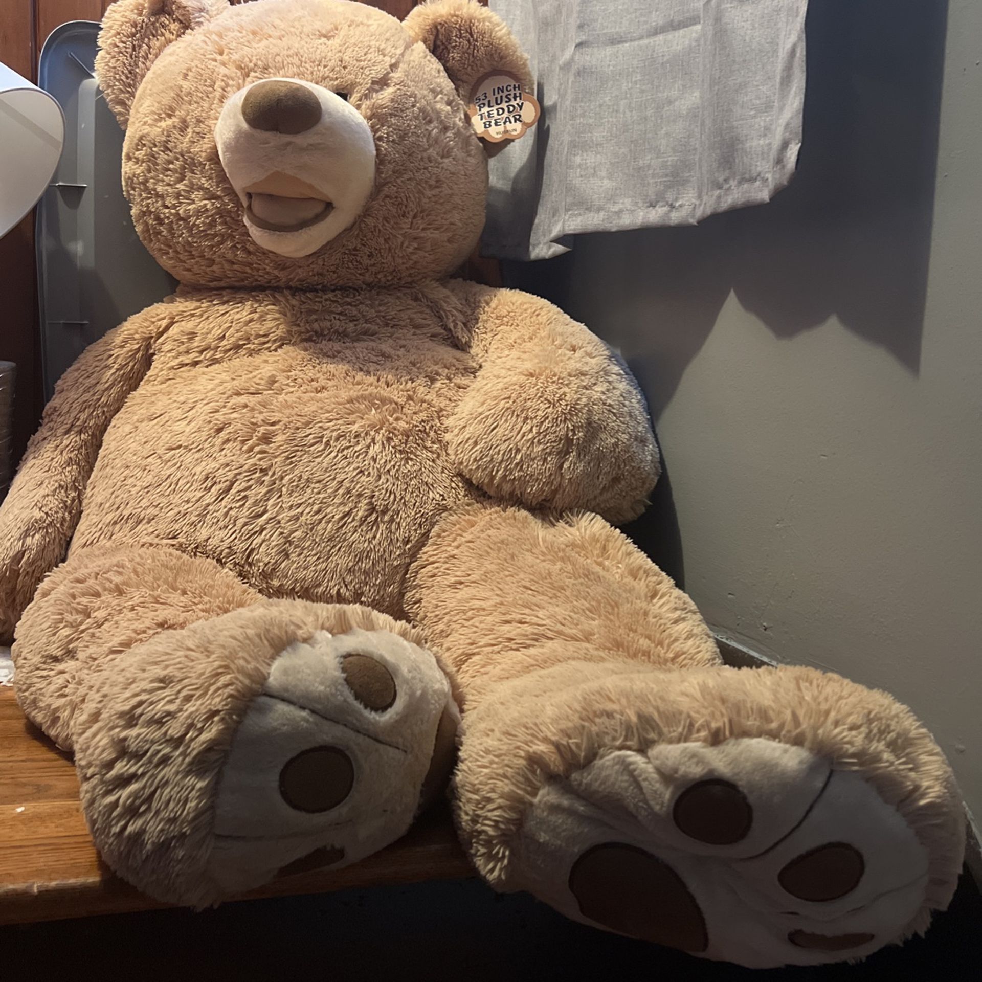 53 Inch Teddy Bear $20