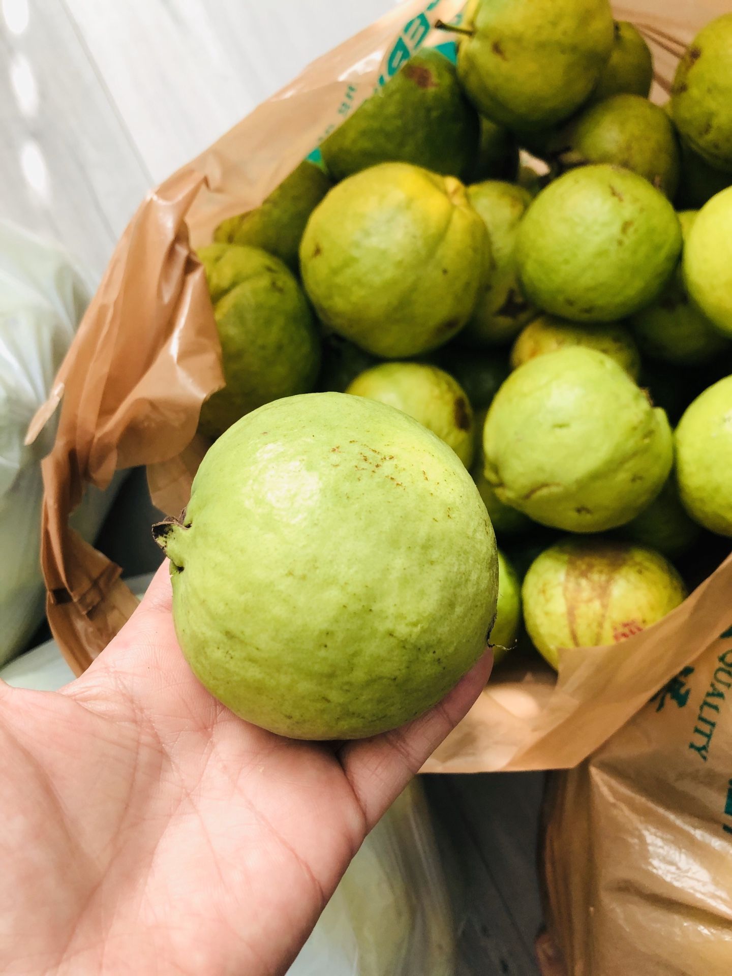 Guava ( 6.5Lbs )