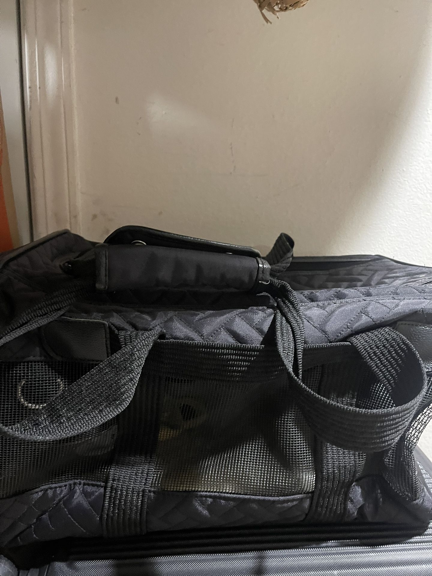 Mochila Para Perro Pequeño