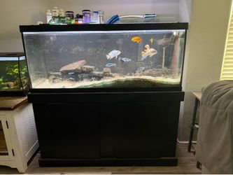 70 gal pedestal tank