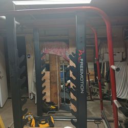 Weight Lifting Exercise Rack With Olympic Weights And Curl Bar And Dip Bar And Pull Up Bar 