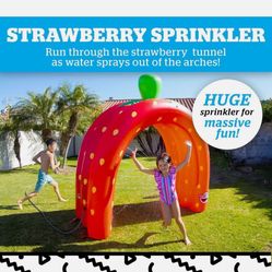 Bigmouth 22-Bys-4316-Sc Inflatable 7FT Tunnel Yard Sprinkler, Red Strawberry 