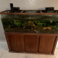 (50 GALLONS ) Huge Fish Tank
