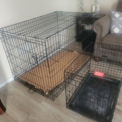 Dog Cage 