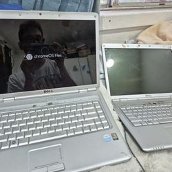 2 Laptops with chrome Flex OS.  