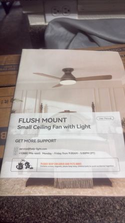 Flush Mount Small Ceiling Fan with Light